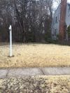 50 Valley View Dr photo